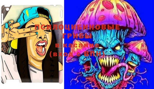 мяу мяу мука Усолье-Сибирское