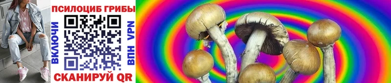 Галлюциногенные грибы мухоморы Тихвин